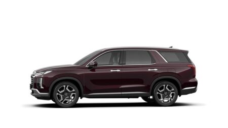 Hyundai Palisade - Ảnh 6